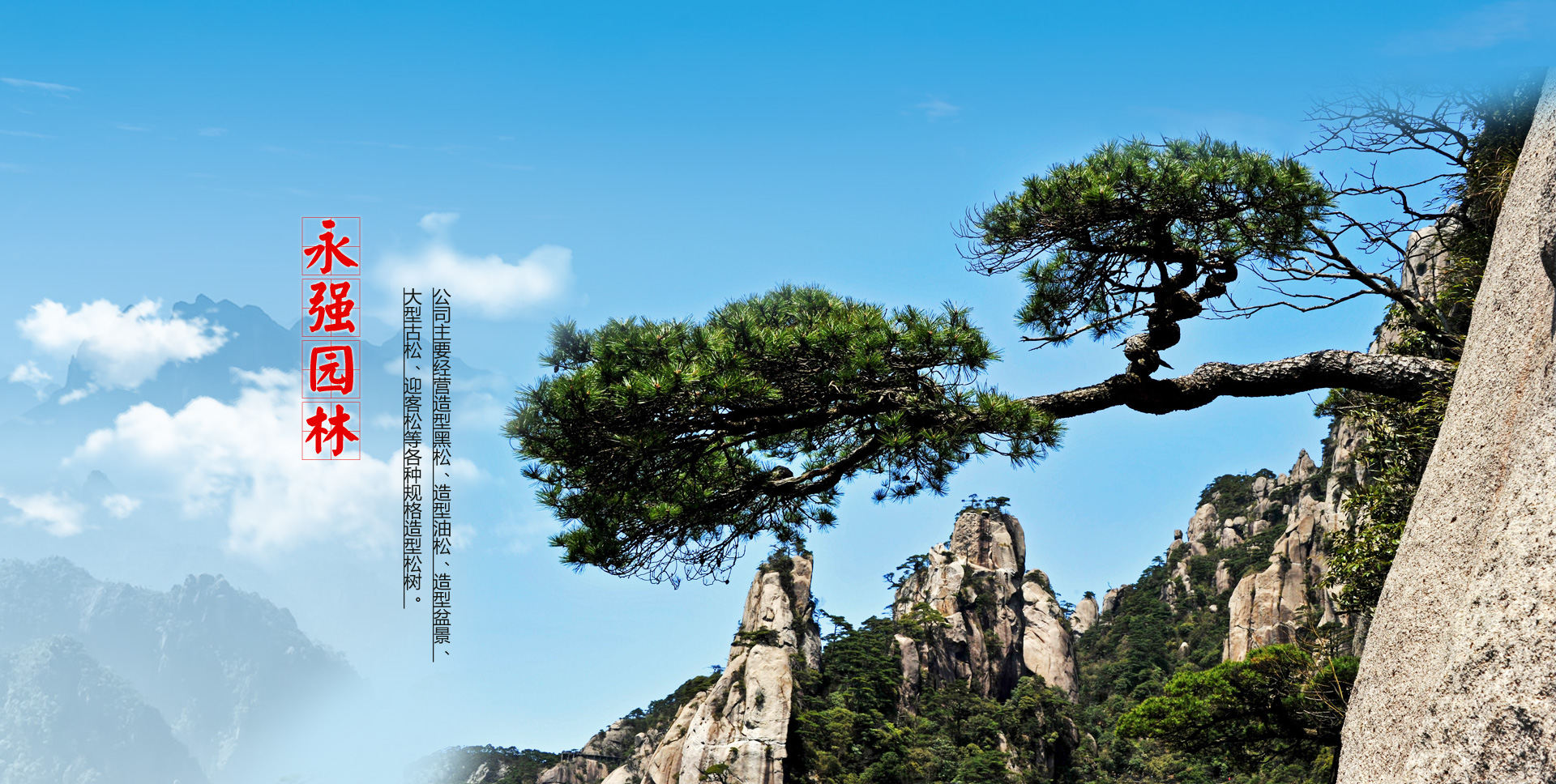 山東金博石材